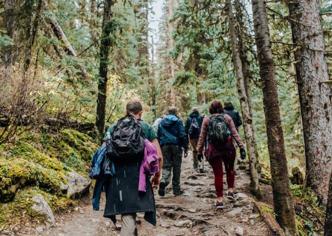 Séjours écologiques : comment choisir une destination durable pour vos vacances