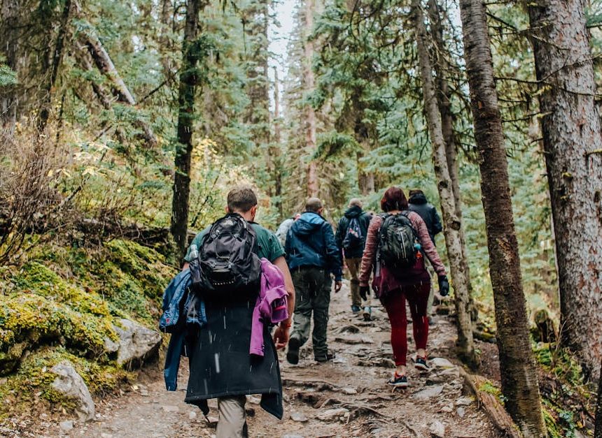 Séjours écologiques : comment choisir une destination durable pour vos vacances