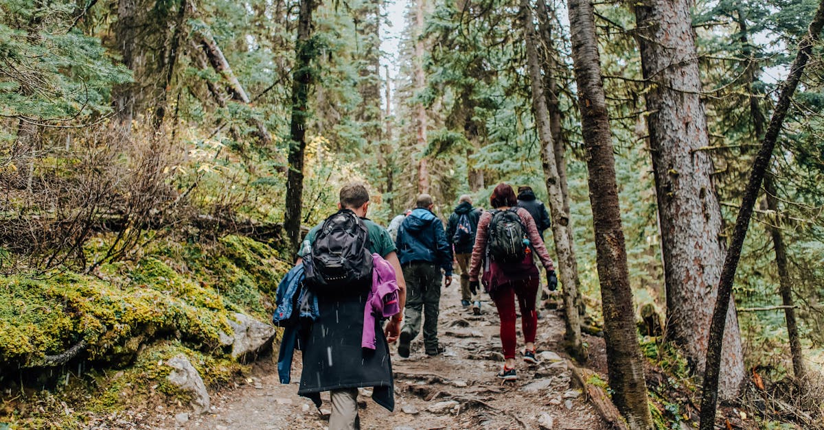 Séjours écologiques : comment choisir une destination durable pour vos vacances