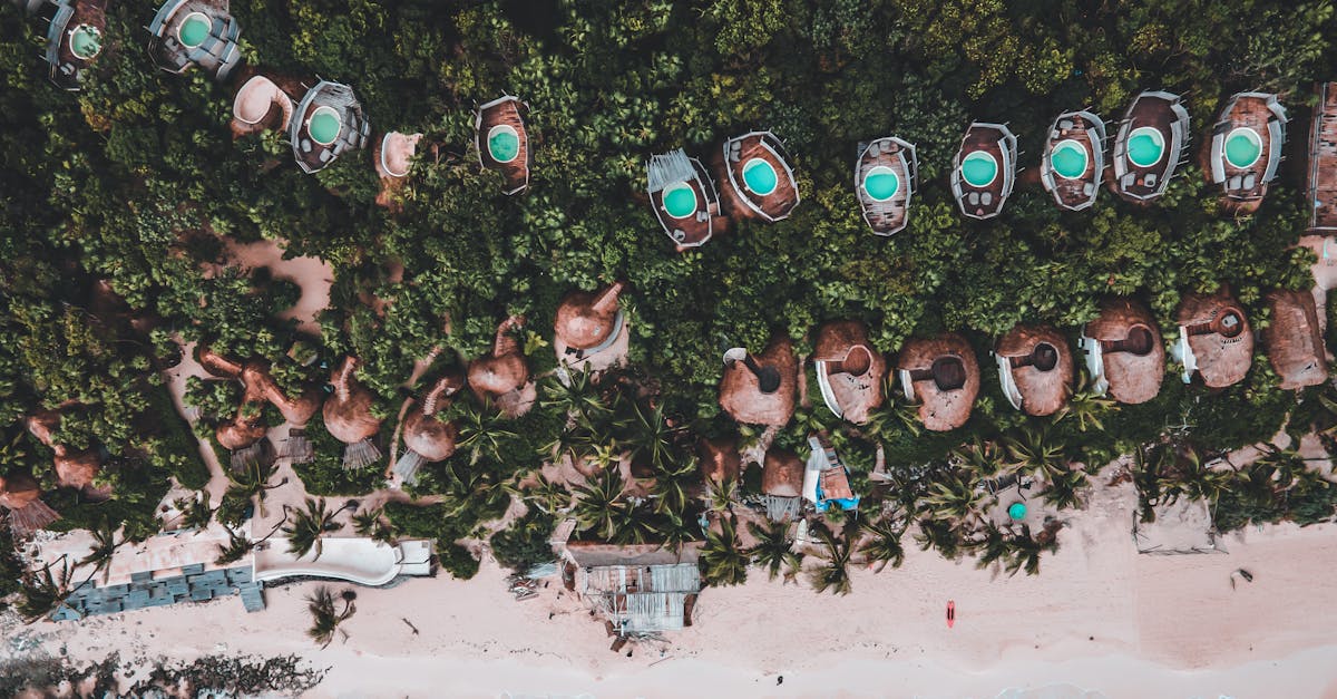 découvrez le tourisme durable : une approche qui préserve l'environnement tout en offrant des expériences authentiques et responsables. explorez des destinations écologiques, soutenez les communautés locales et minimisez votre empreinte carbone lors de vos voyages.