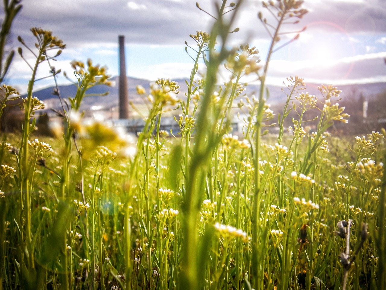 découvrez des astuces et conseils pour des voyages durables. engagez-vous pour un tourisme responsable tout en explorant des destinations respectueuses de l'environnement. transformez vos aventures en témoignages de l'amour de la planète!