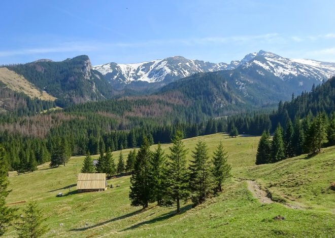 Siandou Fofana : le dynamisme du secteur touristique et des loisirs témoigne de la stabilité nationale