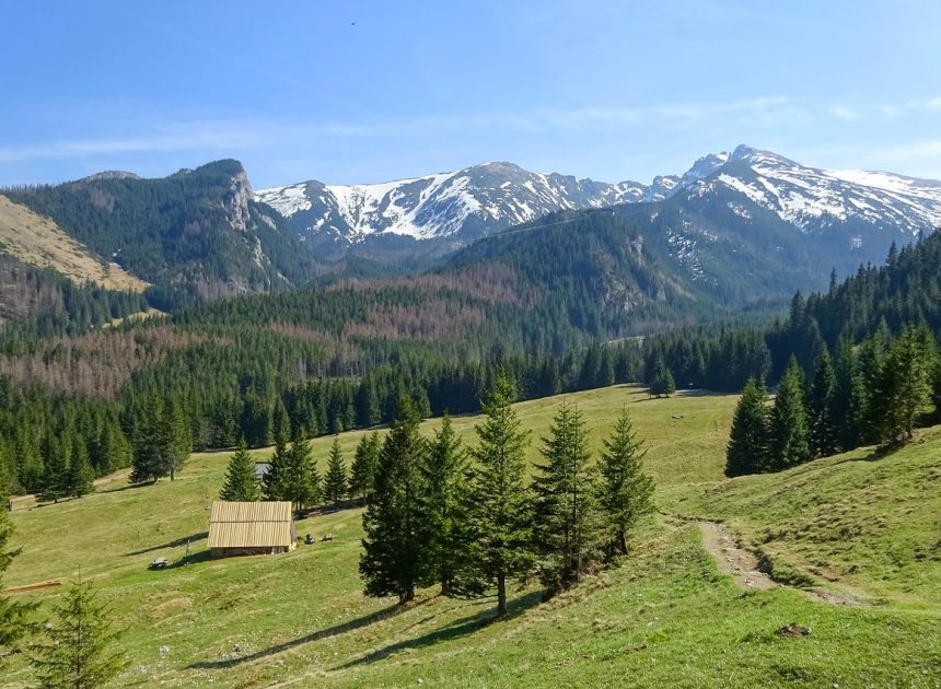 Siandou Fofana : le dynamisme du secteur touristique et des loisirs témoigne de la stabilité nationale