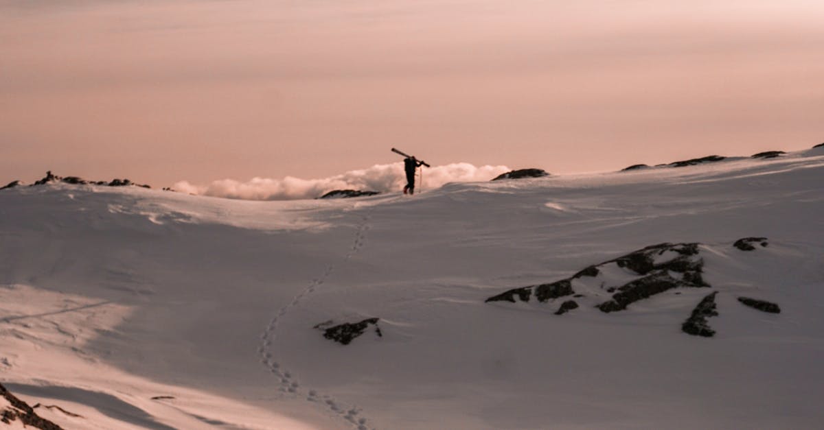 découvrez l'univers palpitant des sports d'aventure ! que vous soyez passionné d'escalade, de rafting, de parapente ou de plongée, trouvez ici des informations et conseils pour vivre des expériences inoubliables et repousser vos limites.