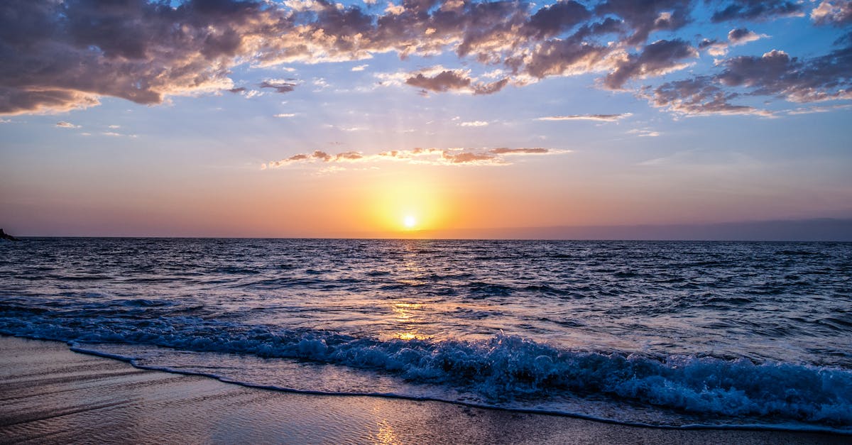 découvrez les plus belles plages du monde, où le sable fin et les eaux turquoise vous attendent. parfaites pour des vacances reposantes, des aventures aquatiques ou des moments en famille, explorez notre guide des plages idéales pour tous les goûts.