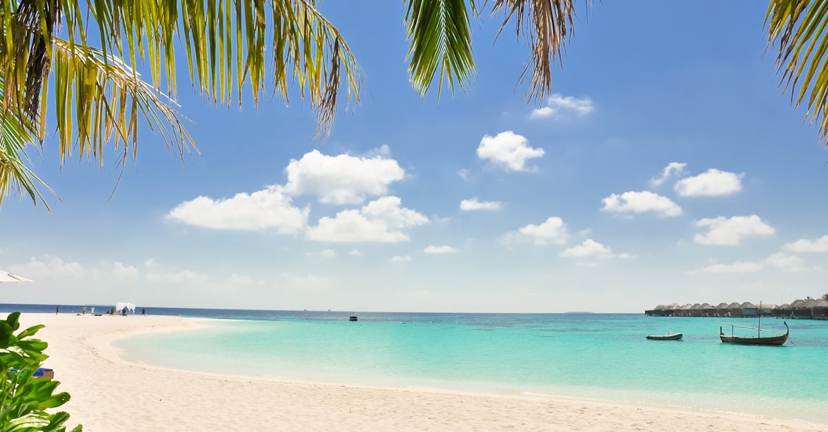 découvrez les plus belles plages de france, des étendues de sable fin aux criques cachées. profitez d'activités nautiques, de paysages à couper le souffle et d'une ambiance estivale inoubliable.