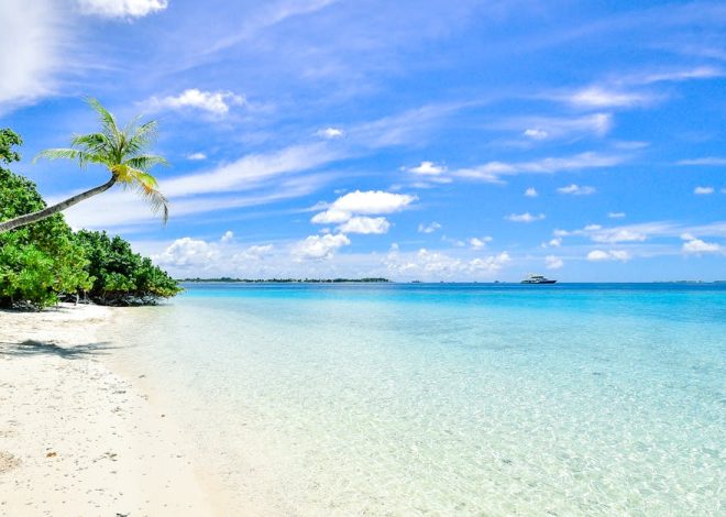 Destinations baignade : les meilleures plages où plonger cet été