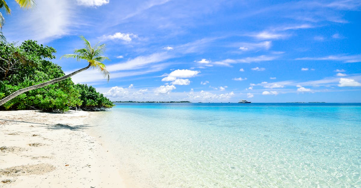 Destinations baignade : les meilleures plages où plonger cet été