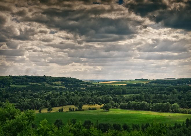 Chinon, escale incontournable du Tour de France 2025, alliant tourisme, gastronomie et héritage historique
