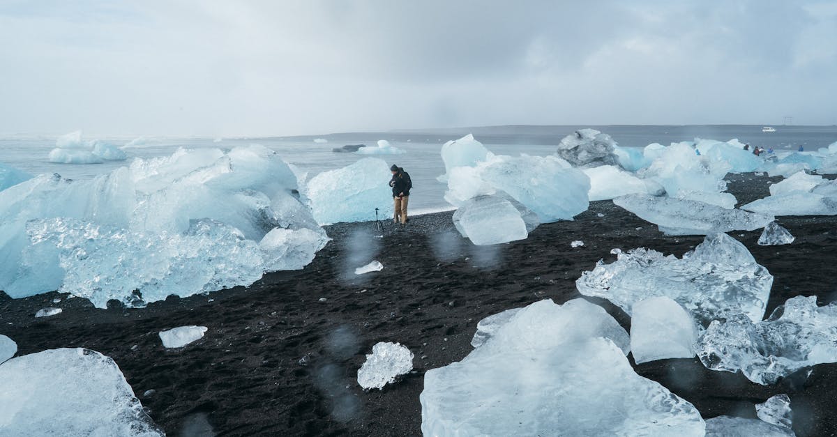 découvrez comment le changement climatique affecte notre planète, ses causes, ses conséquences et les solutions pour un avenir durable. renseignez-vous sur les actions à entreprendre pour lutter contre ce défi mondial.