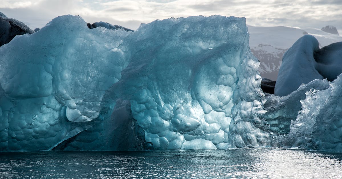 découvrez l'impact du changement climatique sur notre planète, les causes sous-jacentes, les conséquences pour la biodiversité et les sociétés humaines, ainsi que les actions nécessaires pour atténuer ce problème urgent et préserver notre avenir.