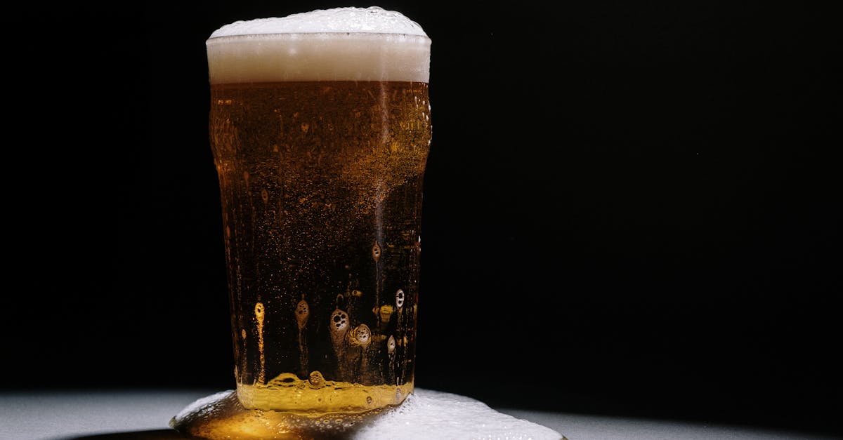 découvrez l'univers fascinant des brasseries artisanales, où la passion pour la bière se mélange à l'innovation. explorez des saveurs uniques, des méthodes de brassage traditionnelles et contemporaines, et rencontrez des maîtres brasseurs qui réinventent l'art de la bière. que vous soyez un amateur ou un expert, plongez dans cette aventure gustative inoubliable.