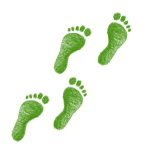 découvrez l'empreinte écologique, une mesure essentielle de l'impact de nos activités sur l'environnement. apprenez à réduire votre empreinte et à contribuer à un avenir durable.