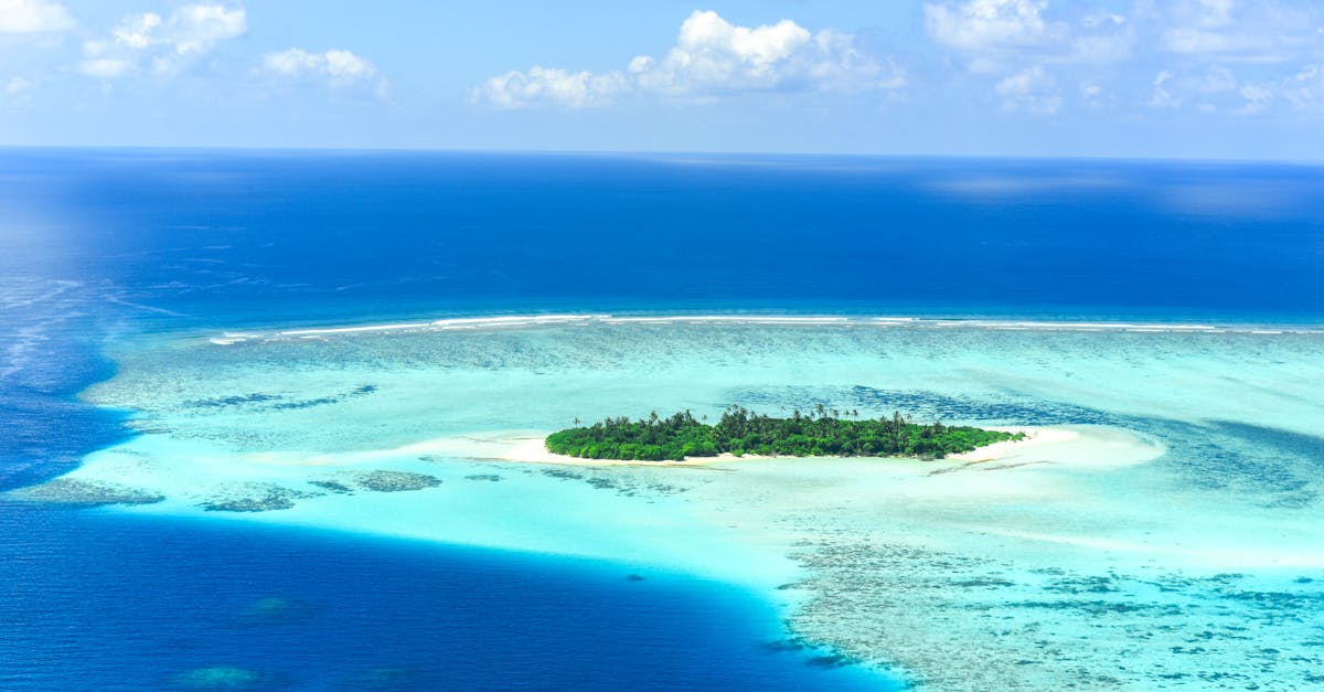 découvrez des destinations exotiques à couper le souffle qui éveilleront vos sens et enrichiront vos aventures. explorez des plages de sable fin, des forêts tropicales luxuriantes et des cultures vibrantes. embarquez pour un voyage inoubliable vers des lieux encore méconnus.