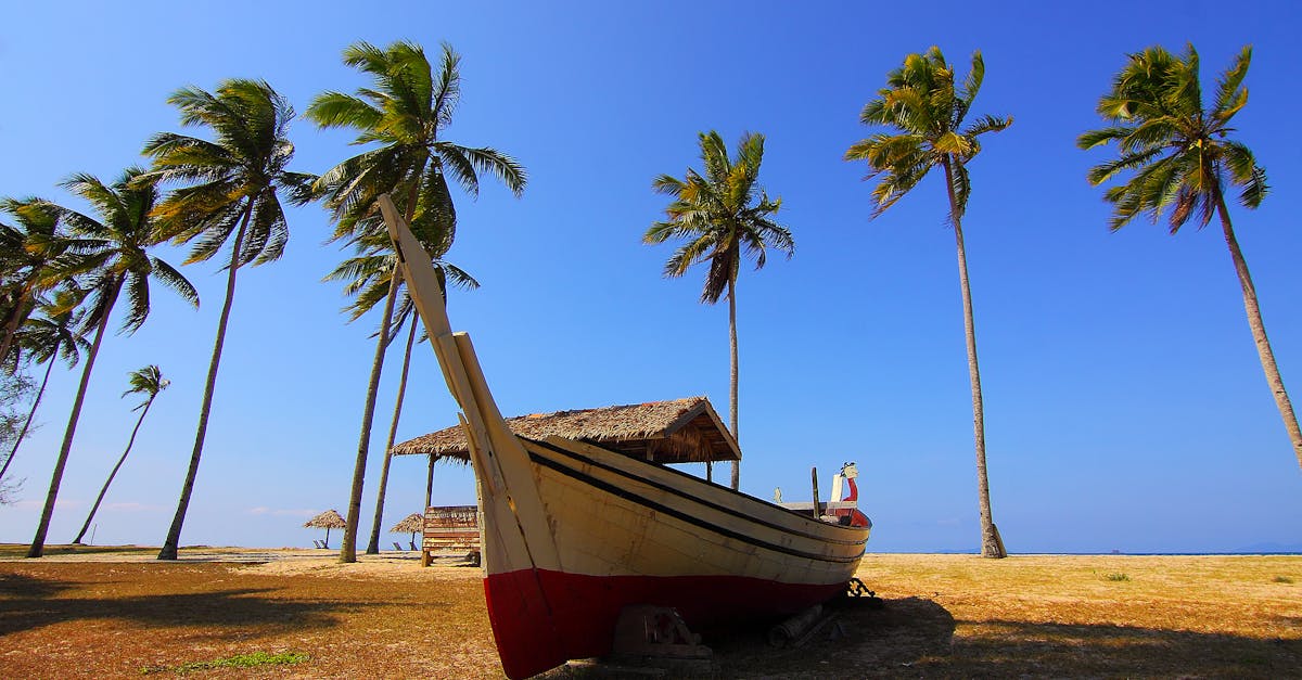 découvrez des destinations exotiques fascinantes qui vous transportent vers des paysages paradisiaques, une culture vibrante et des aventures inoubliables. évadez-vous vers des lieux enchanteurs où la nature et l'hospitalité se rencontrent pour créer des souvenirs mémorables.