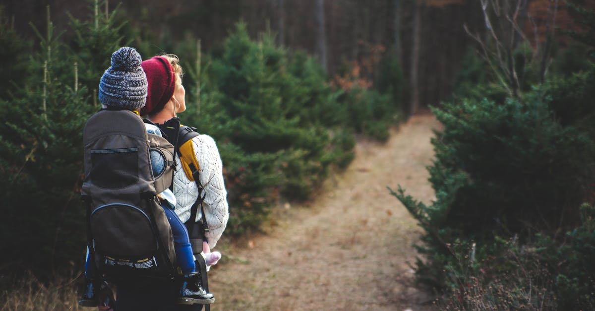 découvrez le monde fascinant de la randonnée avec nos conseils, itinéraires et astuces pour explorer la nature. que vous soyez débutant ou randonneur expérimenté, vivez des aventures inoubliables au cœur des paysages grandioses.