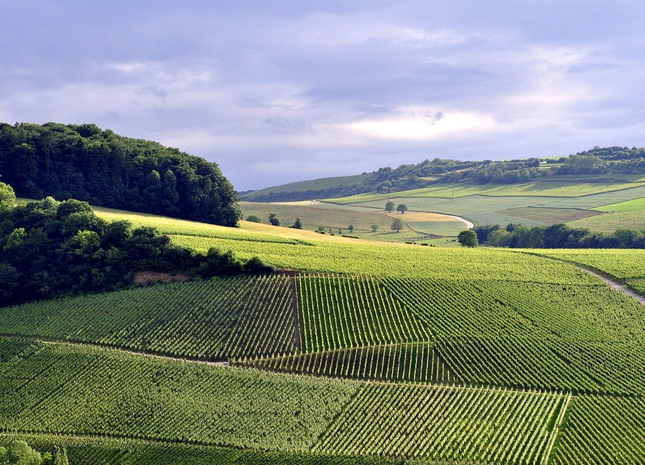 découvrez le luxembourg, un pays emblématique de l'europe, offrant une riche culture, des paysages pittoresques, et une histoire fascinante. explorez ses charmantes villes, ses châteaux majestueux et sa nature préservée pour une expérience inoubliable.
