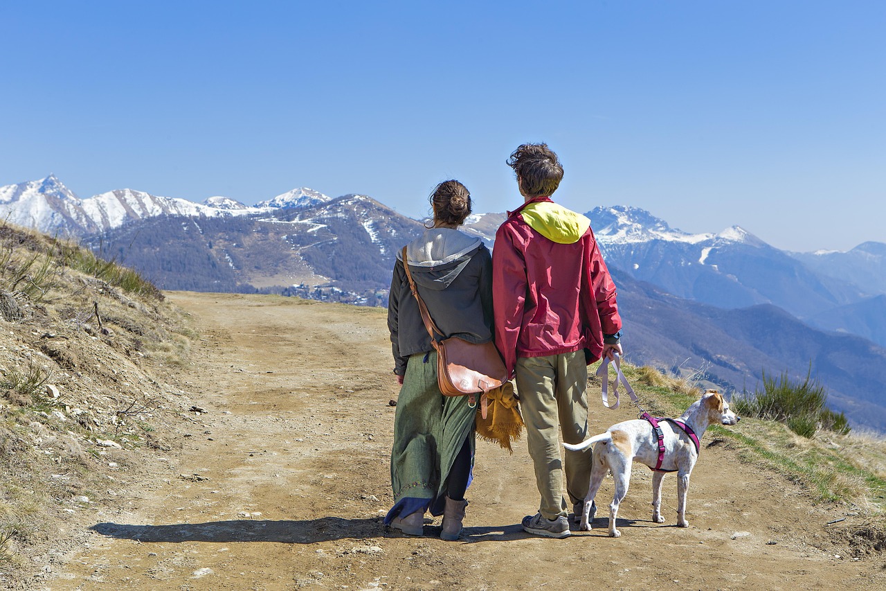 Échappez à la chaleur estivale : découvrez 15 destinations montagneuses ou lacustres en Europe
