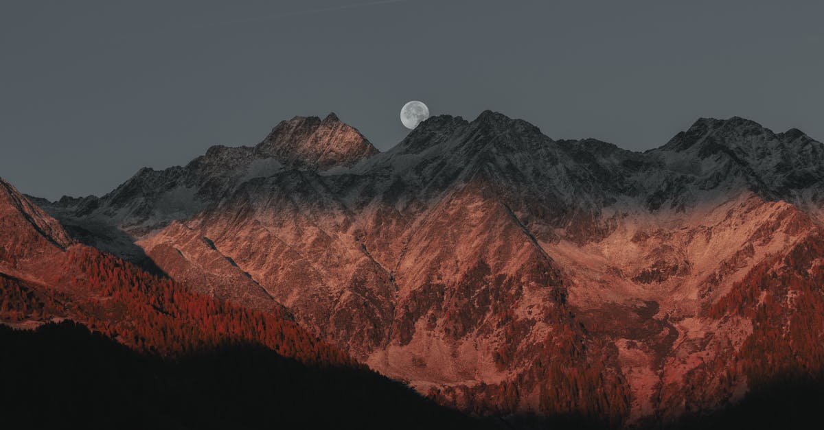 explorez les merveilles des montagnes, de leurs sommets majestueux à leurs vallées verdoyantes. découvrez des paysages à couper le souffle, des activités de plein air exaltantes et la faune unique qui habite ces territoires préservés. parfait pour les amateurs de nature et les aventuriers en quête de sensations fortes.