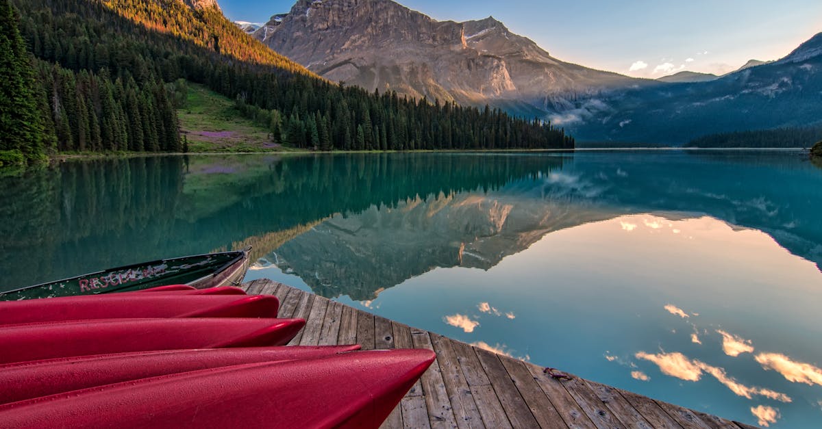 découvrez la beauté époustouflante des paysages naturels, où la majesté des montagnes, la sérénité des forêts et la magie des rivières se rencontrent. plongez dans un monde de tranquillité et d'émerveillement au cœur de la nature.