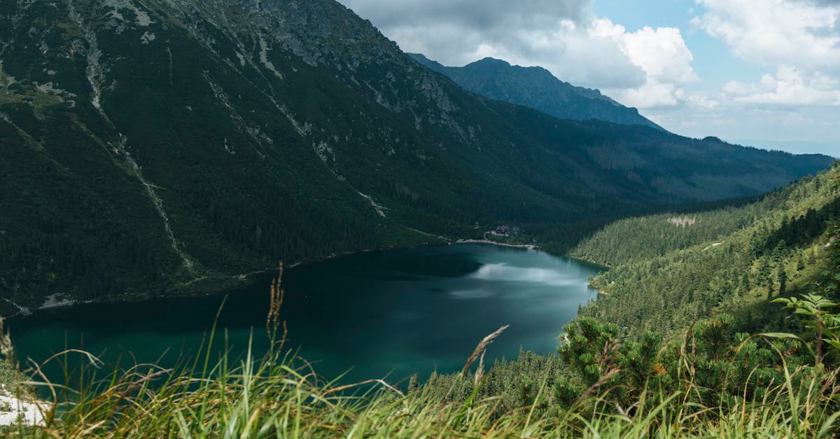 découvrez la beauté des paysages naturels à travers le monde. des montagnes majestueuses aux forêts luxuriantes, plongez dans la richesse de la nature et inspirez-vous de ses merveilles pour vos prochaines aventures.