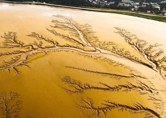 Paysages naturels : une exploration des merveilles de la nature