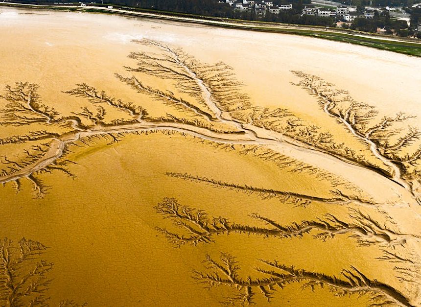 Paysages naturels : une exploration des merveilles de la nature