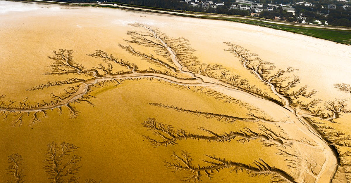 Paysages naturels : une exploration des merveilles de la nature