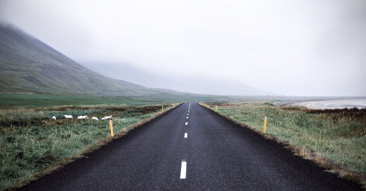 découvrez nos conseils essentiels pour un road trip inoubliable ! des astuces pour la planification, la sécurité, et l'optimisation de votre itinéraire, tout pour faire de votre aventure sur la route une expérience mémorable.