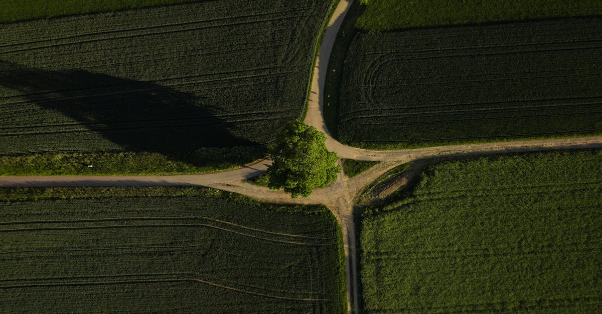 découvrez les routes pittoresques qui vous mèneront à travers des paysages à couper le souffle. profitez d'une expérience inoubliable en empruntant des routes panoramiques sillonnant montagnes, vallées et côtes, idéales pour les amateurs de nature et de découvertes.
