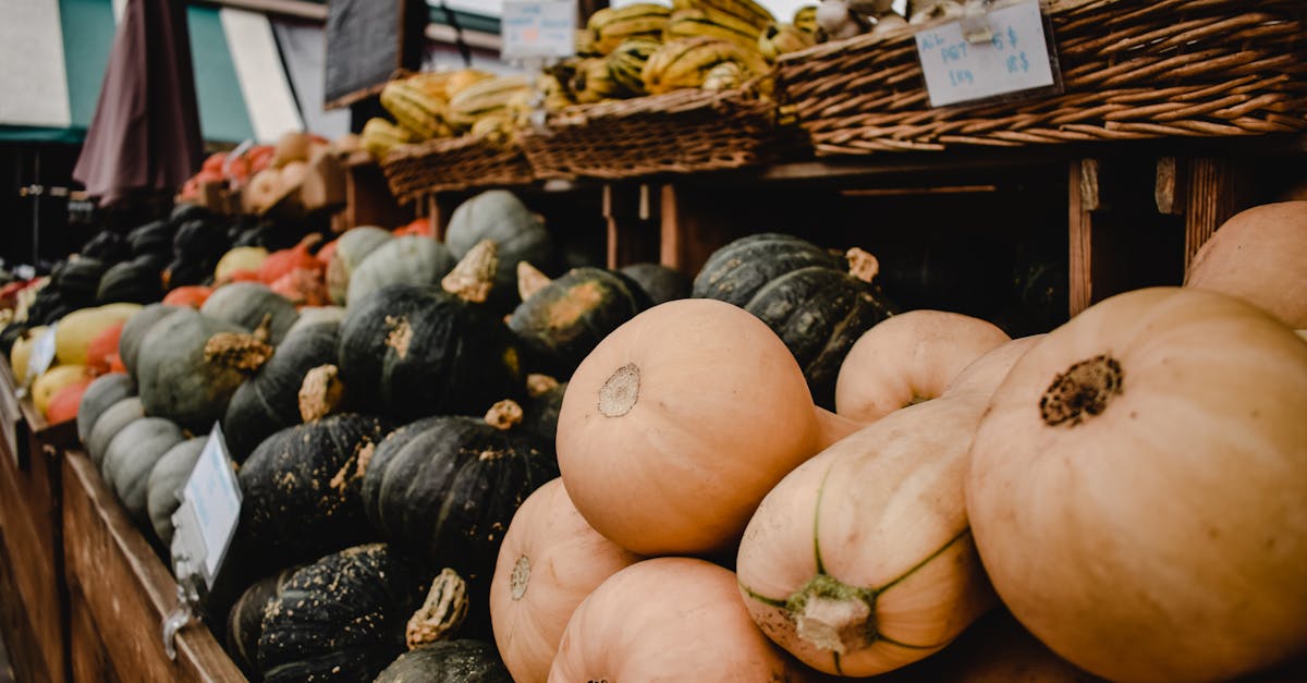 découvrez les pratiques de la gastronomie durable qui allient respect de l'environnement et qualité des ingrédients. explorez des recettes savoureuses et des astuces pour réduire votre empreinte écologique tout en savourant des plats délicieux.