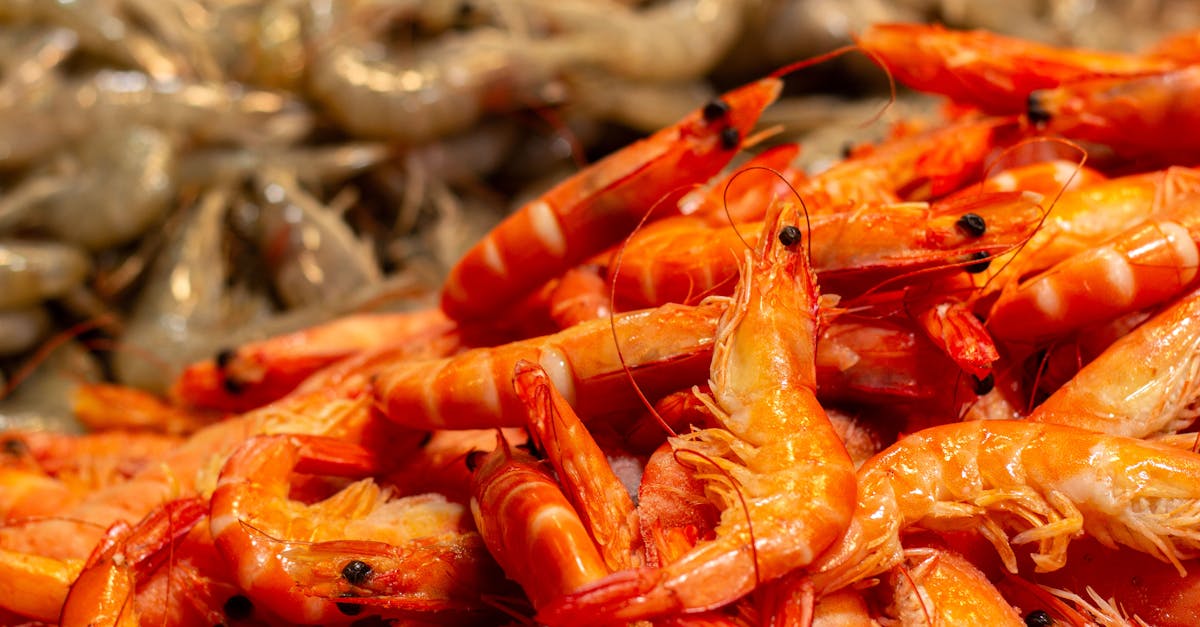 découvrez l'univers de la gastronomie durable, où saveurs et éthique s'entrelacent pour promouvoir une alimentation respectueuse de l'environnement et des ressources locales. apprenez à savourer des plats délicieux tout en soutenant des pratiques culinaires durables.
