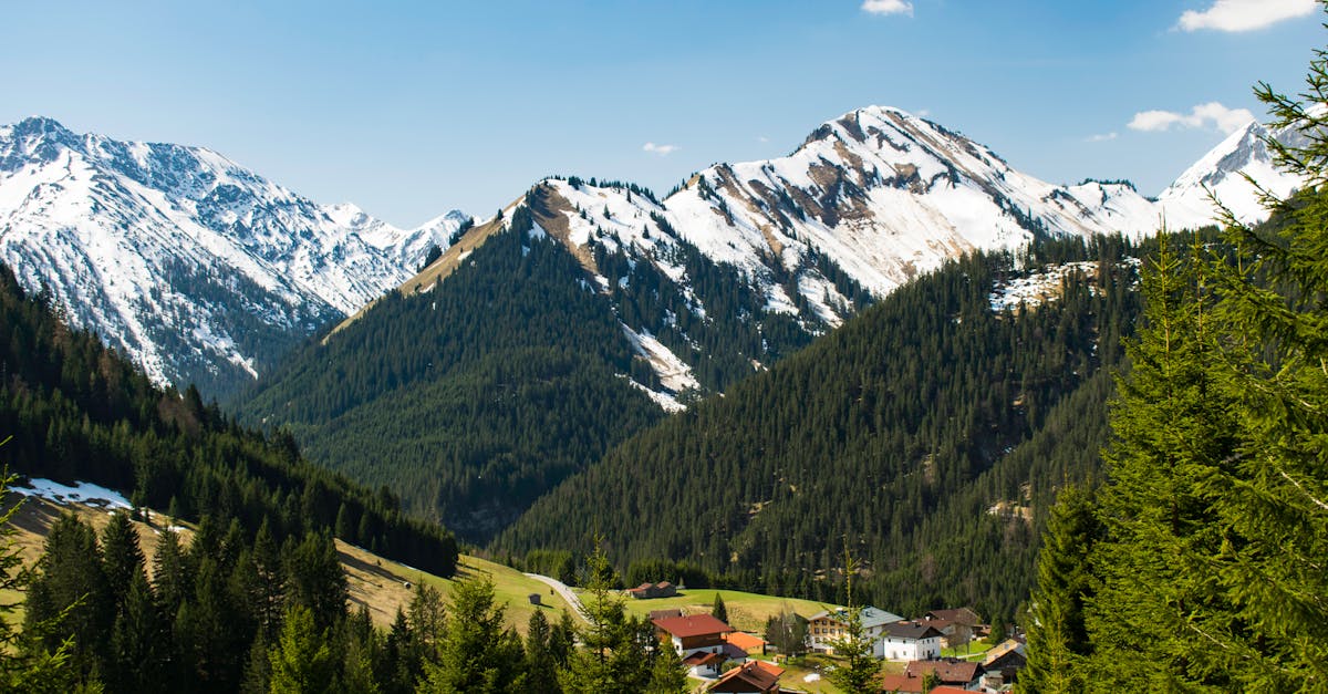 découvrez le tourisme durable : une approche qui respecte l'environnement et les cultures locales tout en offrant des expériences inoubliables. engagez-vous pour un voyage responsable et contribuez à la préservation de notre planète.