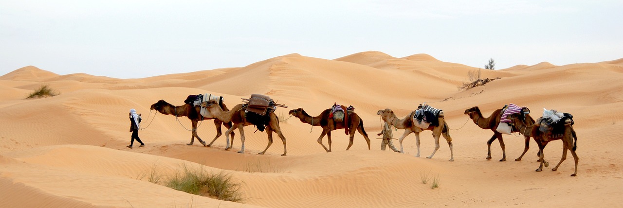 découvrez la richesse culturelle et historique de la tunisie, entre plages idylliques, sites archéologiques fascinants et délicieuse gastronomie. explorez ce pays méditerranéen où tradition et modernité se rencontrent.