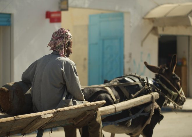 découverte de la tunisie : une aventure méditerranéenne qui va vous étonner