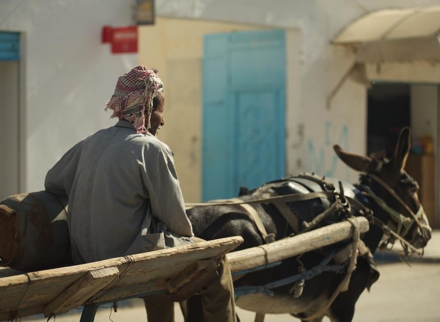 découverte de la tunisie : une aventure méditerranéenne qui va vous étonner