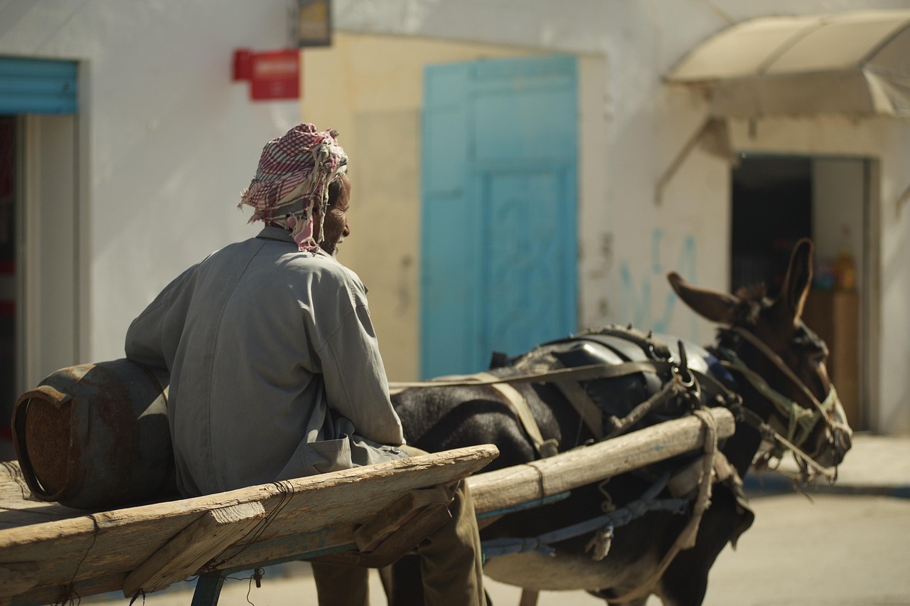 découverte de la tunisie : une aventure méditerranéenne qui va vous étonner