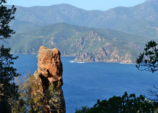 Découvrez la Corse : 5 activités et sorties incontournables à ne pas manquer
