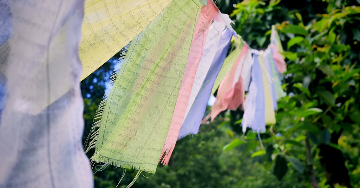 découvrez l'importance de la diversité culturelle, un facteur clé qui enrichit nos sociétés et favorise l'innovation. explorez comment les échanges entre différentes cultures peuvent créer des ponts, renforcer la tolérance et célébrer l'identité unique de chacun.