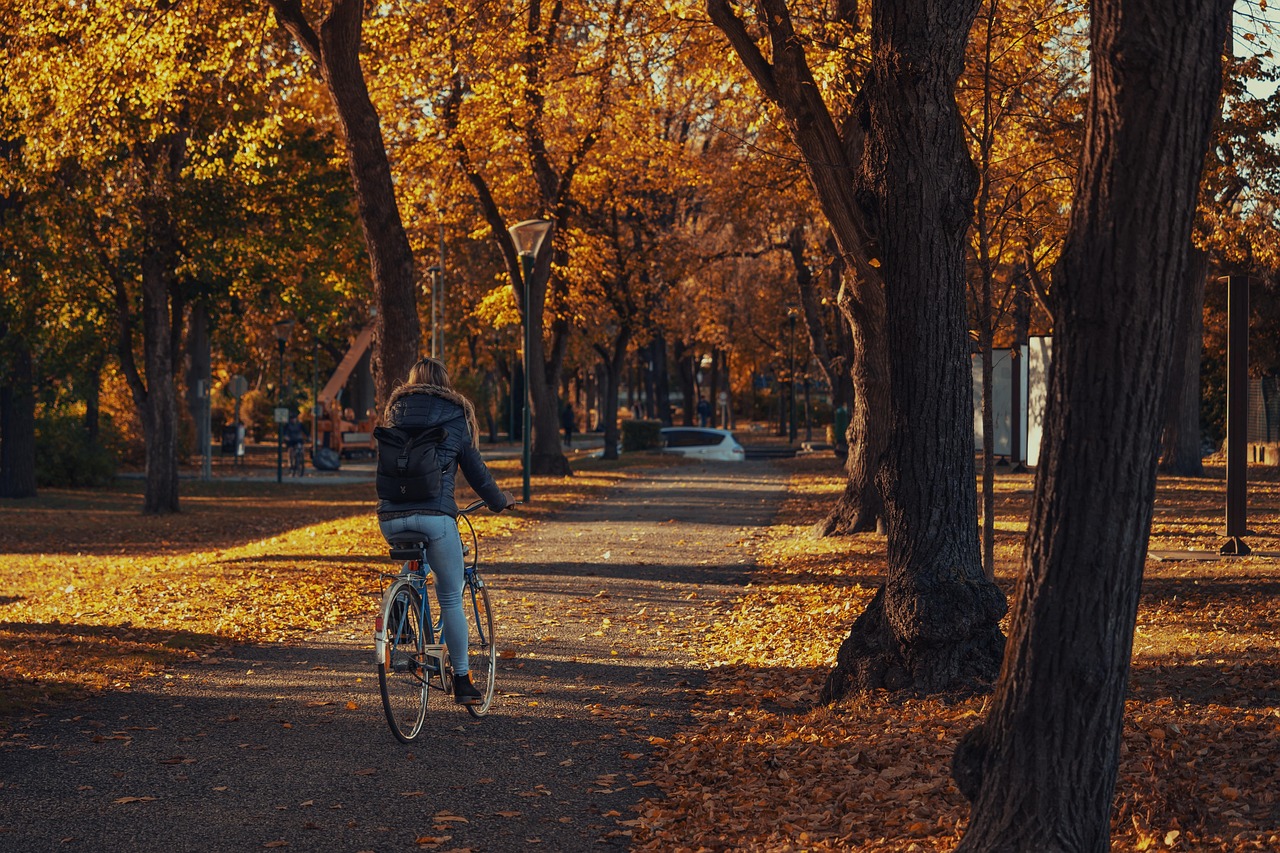 découvrez l'univers du cyclisme : conseils, techniques, itinéraires et tendances pour les passionnés de vélo. que vous soyez débutant ou expert, trouvez toutes les informations nécessaires pour profiter pleinement de votre expérience à deux roues.