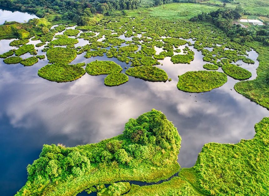 Écologie : comprendre l’impact de nos choix sur l’environnement