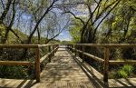 découvrez l'écotourisme, une pratique de voyage durable qui préserve la nature et les cultures locales. explorez des destinations respectueuses de l'environnement, tout en soutenant les communautés locales et en minimisant votre empreinte écologique. embarquez pour une aventure responsable et enrichissante.