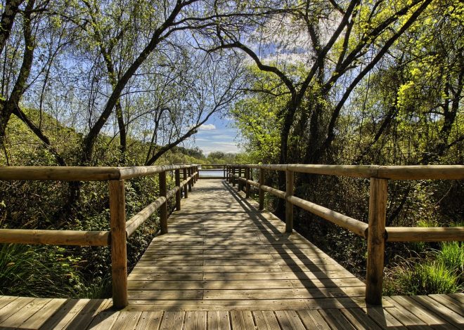 Un premier congrès de plein air et nature : un partenariat réussi entre Aventure Écotourisme Québec et les parcs régionaux du Québec