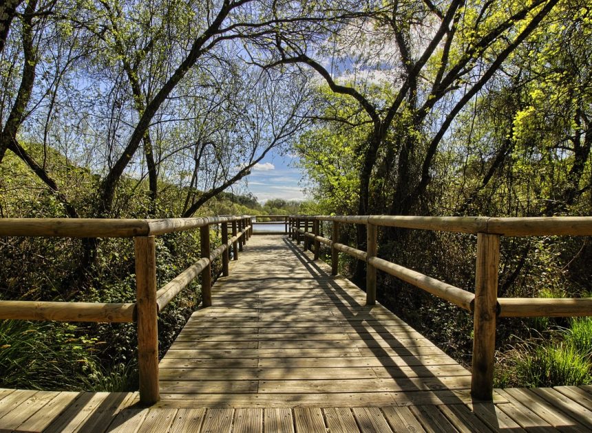 Un premier congrès de plein air et nature : un partenariat réussi entre Aventure Écotourisme Québec et les parcs régionaux du Québec
