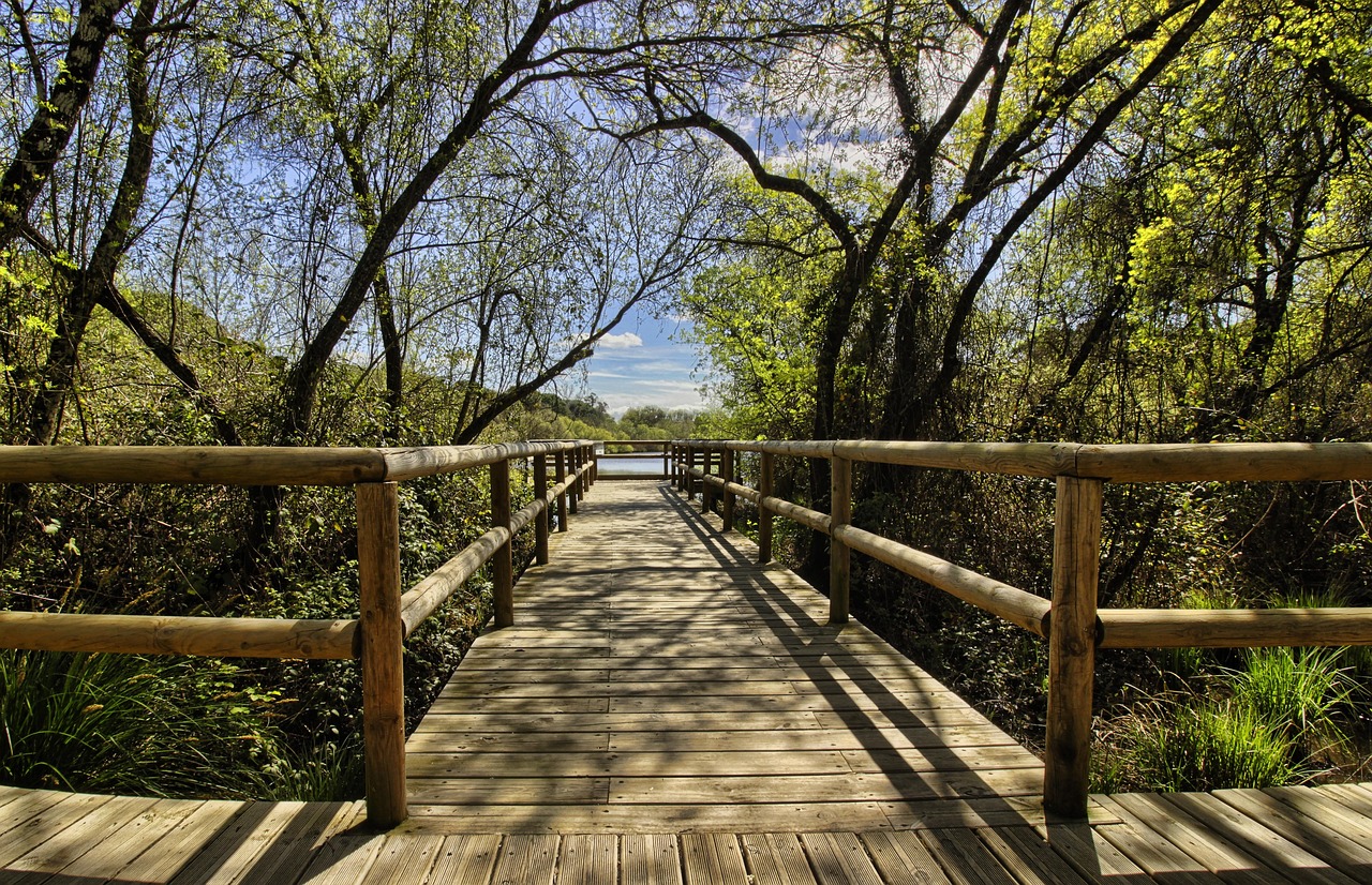 Un premier congrès de plein air et nature : un partenariat réussi entre Aventure Écotourisme Québec et les parcs régionaux du Québec