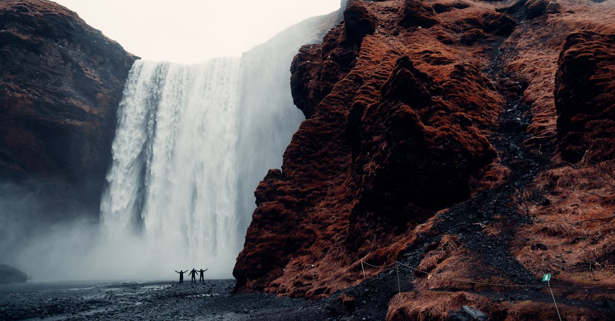 découvrez les meilleures astuces et conseils pour organiser un voyage en groupe inoubliable. profitez de moments uniques, d'activités variées et d'une ambiance conviviale tout en explorant des destinations fascinantes ensemble.