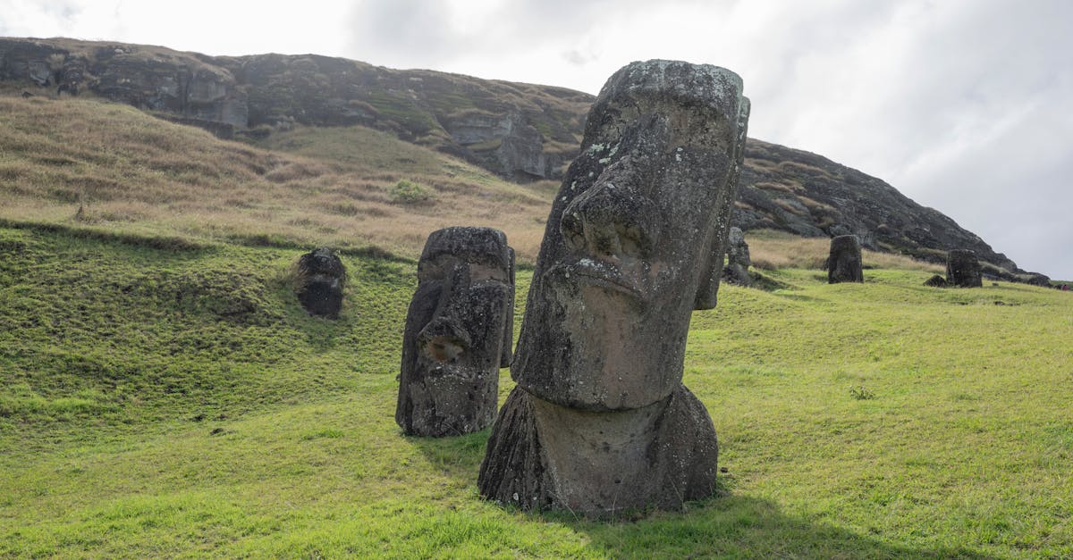 découvrez la richesse et la diversité des cultures autochtones à travers le monde. explorez leurs traditions, histoires et contributions uniques à la société contemporaine, tout en mettant en lumière l'importance de leur protection et de leur préservation.