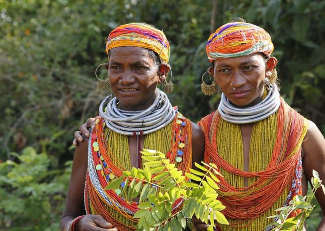 Cultures autochtones : un voyage au cœur des traditions ancestrales
