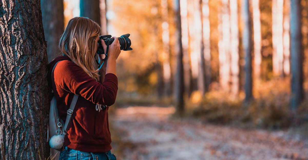 découvrez un monde de détente et de divertissement avec nos activités de loisir. que vous soyez passionné de sports, d'art, ou d'aventures en plein air, trouvez l'inspiration pour profiter de votre temps libre et vous ressourcer.