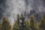 découvrez la roumanie, un pays riche en histoire et en culture, connu pour ses paysages époustouflants, ses châteaux médiévaux, et sa cuisine savoureuse. explorez les merveilles naturelles des carpates et laissez-vous envoûter par la magie de transylvanie.